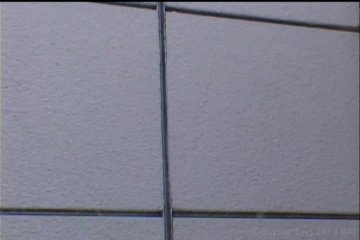 Asian Teen Blows a Big Cock