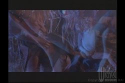 Captura de 'Award Winning Sex Stars 3' nº 106