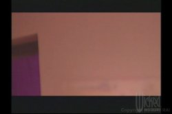 Captura de 'Award Winning Sex Stars 3' nº 26