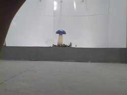 Captura de 'American Bukkake 25' nº 4