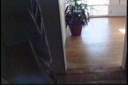 'Butt Freak' screenshot nº 131