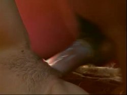 'Get Into The Groove With....The Real Taylor Hayes' screenshot nº 79