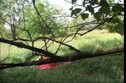 'Amazing POV Teens' screenshot nº 21