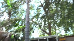 Captura de 'Desperate Real Estate Agents 5' nº 7
