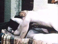 Captura de 'French School Girls' nº 10