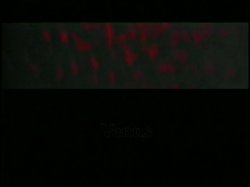 'Jaded' screenshot nº 3