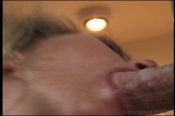 'Blowjob Fantasies 5' screenshot nº 44