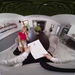 'VirtualRealPorn House' screenshot nº 2