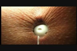Captura de 'Buttman's Anal Show 2' nº 92