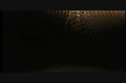 Captura de 'Buttman's Anal Show 2' nº 10