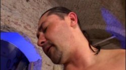 'Pralle Mopse: Enge Rosetten' screenshot nº 134
