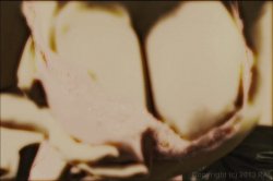 'Older Women Younger Men 16' screenshot nº 119