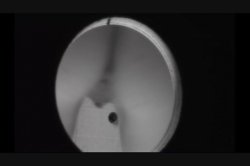 Captura de 'Glory Holes and Bad Girls' nº 134