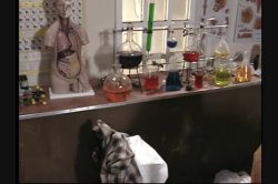 'Anal Professor' screenshot nº 24