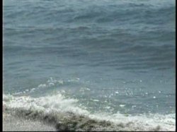 'Black Beach Patrol 2' screenshot nº 1