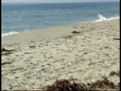 'Black Beach Patrol 2' screenshot nº 116