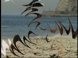 'Black Beach Patrol 2' screenshot nº 2