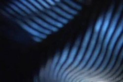 Captura de 'Worlds Greatest Squirters' nº 134