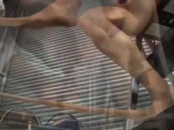 Captura de 'Latin Legs' nº 79