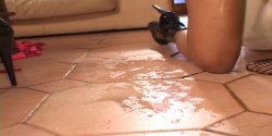 Captura de 'Cytherea's All-Girl Pussy Parade 2' nº 21