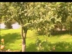 'British Rich Bitches 2' screenshot nº 5
