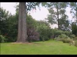 'British Rich Bitches 2' screenshot nº 6