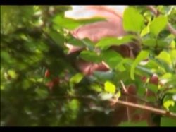 'British Rich Bitches 2' screenshot nº 74