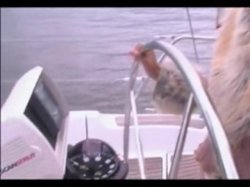 'British Rich Bitches 2' screenshot nº 120