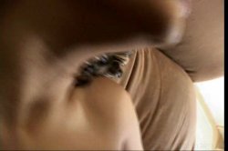 'Latin POV' screenshot nº 54
