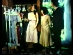 Captura de 'Peepshow Loops 67: '70's & '80's (All Color)' nº 38