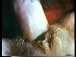 Captura de 'Peepshow Loops 67: '70's & '80's (All Color)' nº 41