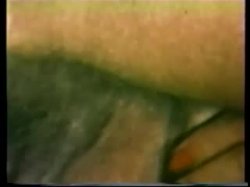 Captura de 'Peepshow Loops 67: '70's & '80's (All Color)' nº 50