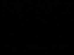 Captura de 'Peepshow Loops 67: '70's & '80's (All Color)' nº 53
