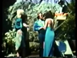 Captura de 'Peepshow Loops 67: '70's & '80's (All Color)' nº 94