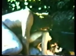 Captura de 'Peepshow Loops 67: '70's & '80's (All Color)' nº 99