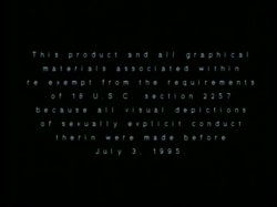 Captura de 'Peepshow Loops 67: '70's & '80's (All Color)' nº 1