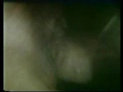 Captura de 'Peepshow Loops 67: '70's & '80's (All Color)' nº 125