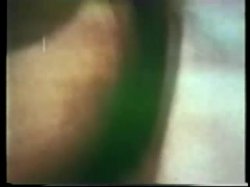 Captura de 'Peepshow Loops 67: '70's & '80's (All Color)' nº 15