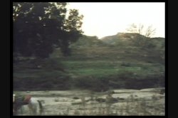 Captura de 'Teenage Cowgirls' nº 20