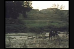 Captura de 'Teenage Cowgirls' nº 30