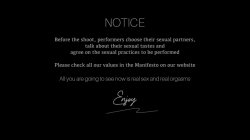 Captura de 'Inspiration - On Sale! Labor Day Porn Sale' nº 1
