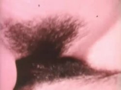 'Candy's Wild Ride' screenshot nº 20