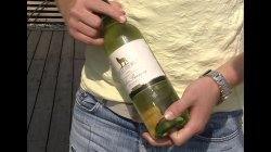 'Leonie - Lippen-Bekenntnisse eines Luders' screenshot nº 4