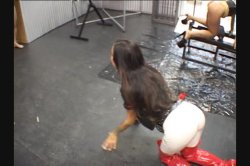 'Fuck Slaves 4' screenshot nº 7