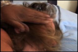 'Katja VS Macy' screenshot nº 100