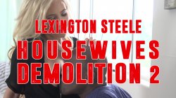 'Lexington Steele Housewives Demolition 2' screenshot nº 1