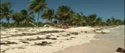 Captura de 'Anal Honeymoon in the Tropics' nº 100