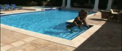 Captura de 'Anal Honeymoon in the Tropics' nº 117