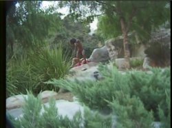 Captura de 'Video Adventures of Peeping Tom 10' nº 22