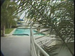 Captura de 'Video Adventures of Peeping Tom 10' nº 77